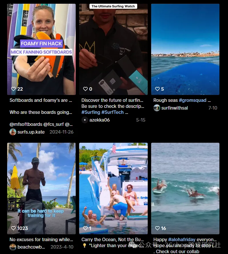 image.png 900万美金的冲浪板独立站,核心打法居然是它