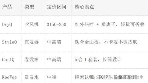 100个品牌独立站拆解,凭什么卖了10万+吹风机?