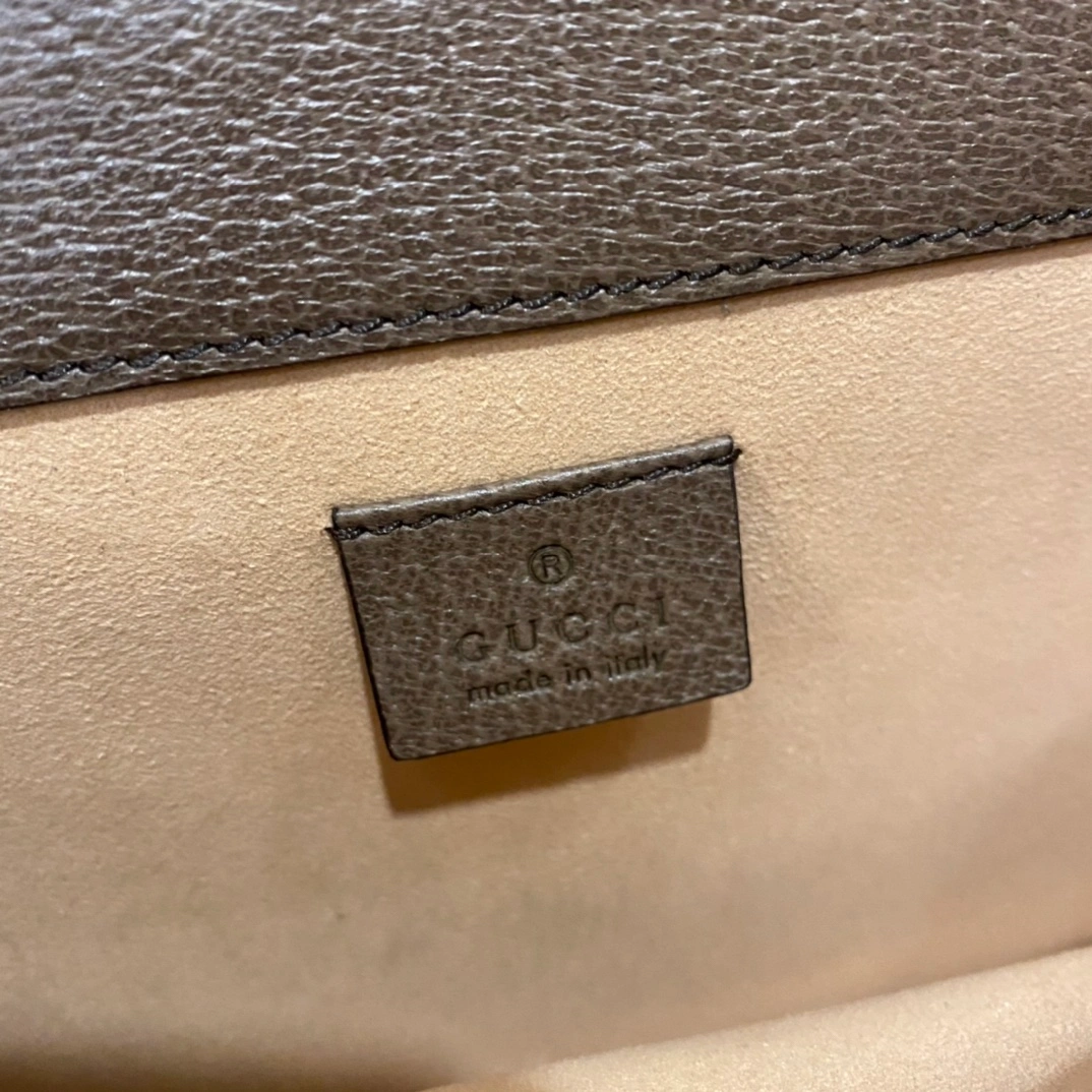 GG Dionysus-16 - 图片 8