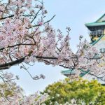 日本独立站做什么产品:2026年7个高潜力方向-贸贸通