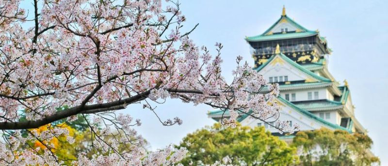 日本独立站做什么产品:2026年7个高潜力方向-贸贸通